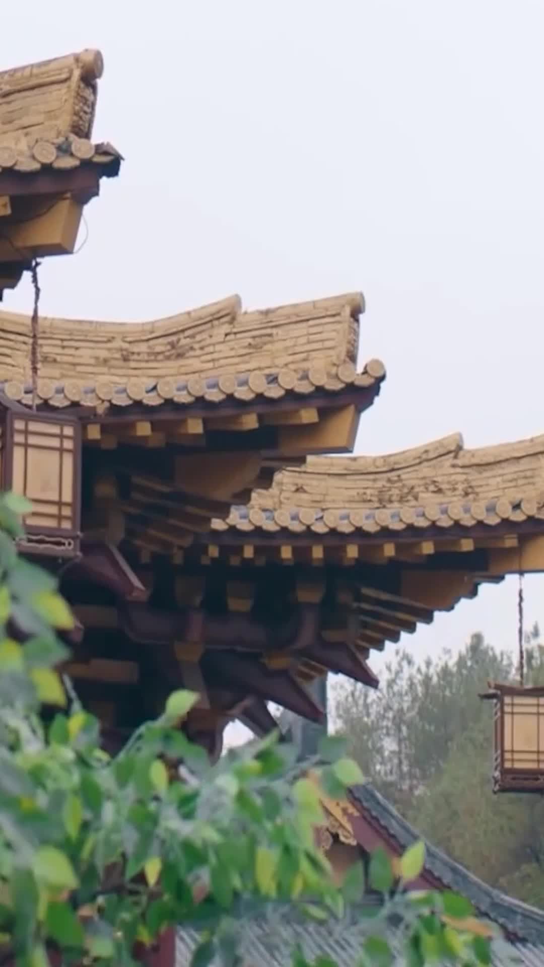第33集